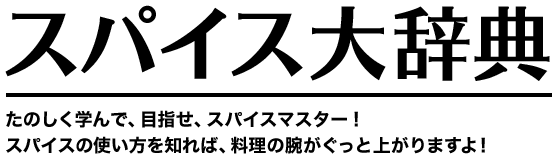 �X�p�C�X�厫�T