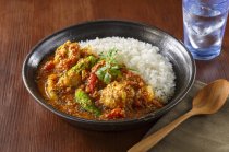 写真:スパイスで作る 南インド風スパイスチキンカレー