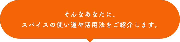 そんなあなたに、スパイスの使い道や活用法を伝授します。