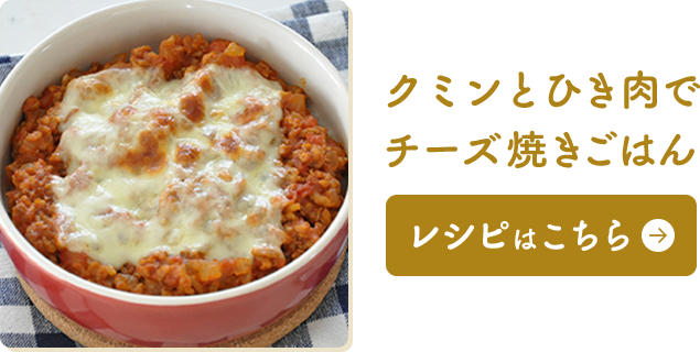 もう余らせない スパイス使い切り活用術 スパイス活用術 スパイスオブライフ もう余らせない スパイス使い切り活用術 スパイス活用術 スパイスオブライフ