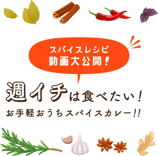 スパイスレシピ動画大公開！週イチは食べたい！お手軽おうちスパイスカレー！！