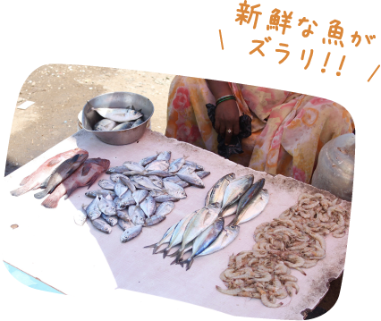 新鮮な魚がズラリ!!