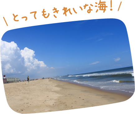 とってもきれいな海!