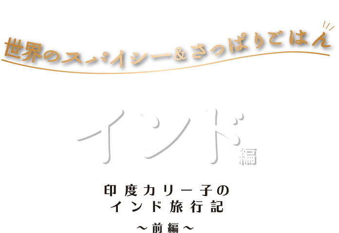 世界のスパイシー さっぱりごはん 印度カリー子のインド旅行記 前編 スパイスで旅する世界の食卓 スパイスオブライフ