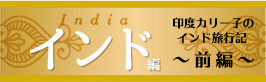 インド編 印度カリー子のインド旅行記 〜前編〜